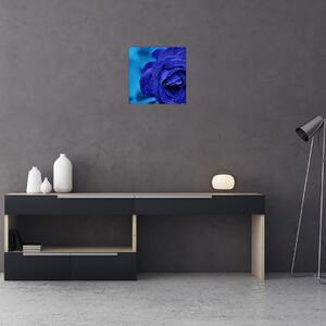Obraz modré růže (30x30 cm)