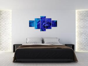 Obraz modré růže (125x70 cm)