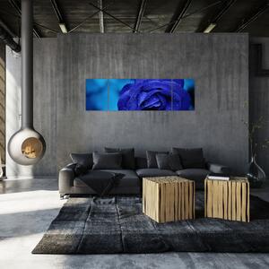 Obraz modré růže (170x50 cm)