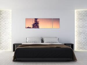 Obraz zasněženého stromu na louce (170x50 cm)