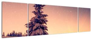 Obraz zasněženého stromu na louce (170x50 cm)