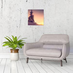 Obraz zasněženého stromu na louce (30x30 cm)
