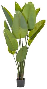 Umělá rostlina BANANA TREE 187 cm Zelená