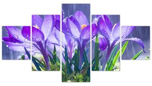 Obraz květin v dešti (125x70 cm)