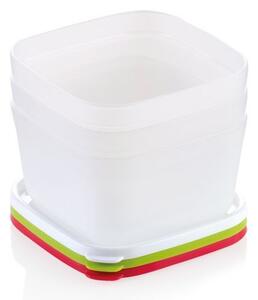 Zdravé dózy do mrazničky PURITY 0,5 l, 3 ks