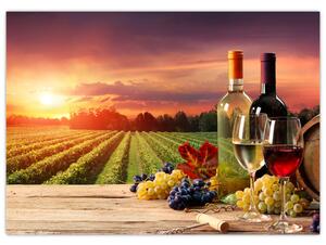 Obraz vinice s vínem (70x50 cm)