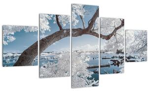 Obraz zasněženého stromu u vody (125x70 cm)
