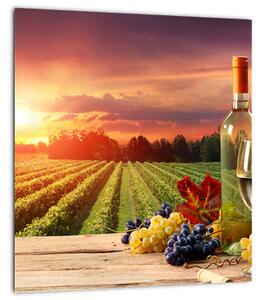Obraz vinice s vínem (30x30 cm)