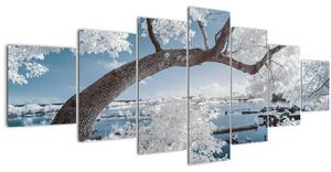 Obraz zasněženého stromu u vody (210x100 cm)