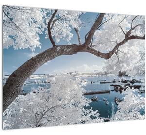 Obraz zasněženého stromu u vody (70x50 cm)