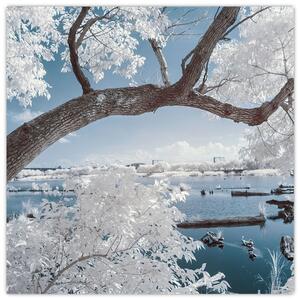 Obraz zasněženého stromu u vody (30x30 cm)