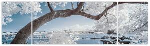 Obraz zasněženého stromu u vody (170x50 cm)