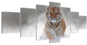 Obraz běžícího tygra ve sněhu (210x100 cm)