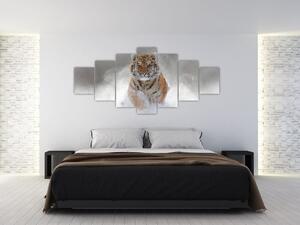 Obraz běžícího tygra ve sněhu (210x100 cm)