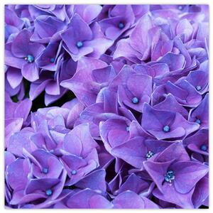 Obraz fialových květin (30x30 cm)