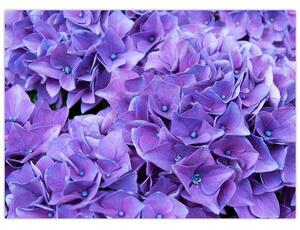 Obraz fialových květin (70x50 cm)