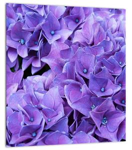 Obraz fialových květin (30x30 cm)