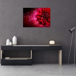 Obraz červené květiny (70x50 cm)