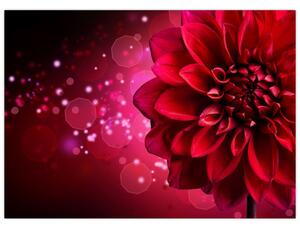 Obraz červené květiny (70x50 cm)