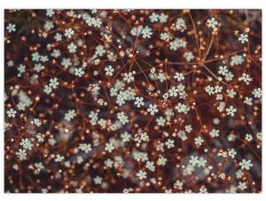 Obraz květiny Pomněnka lesní (70x50 cm)
