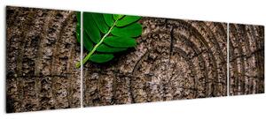 Obraz listu na kmeni stromu (170x50 cm)
