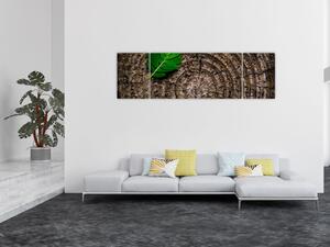Obraz listu na kmeni stromu (170x50 cm)