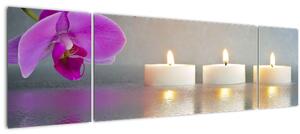 Obraz svíček na vodě (170x50 cm)