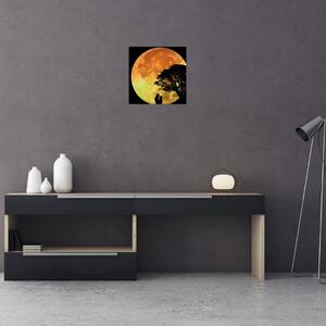 Obraz stínů v měsíčním světle (30x30 cm)