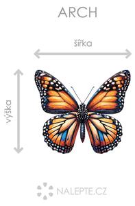 Barevný motýl arch 45 x 39 cm