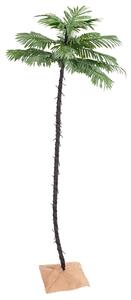 Palma se 196 teplými bílými LED diodami 300 cm