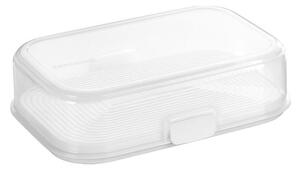 Dóza FreshZONE 30 x 20 cm