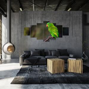 Obraz papouška na větvi (210x100 cm)