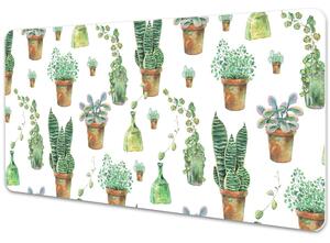 Ochranná podložka na stůl Malované kaktusy