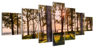 Obraz stromů u jezera (210x100 cm)