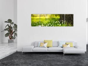 Obraz paseky a květin (170x50 cm)