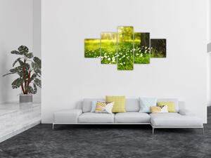 Obraz paseky a květin (125x70 cm)