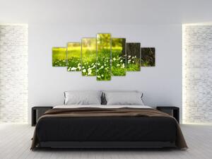 Obraz paseky a květin (210x100 cm)