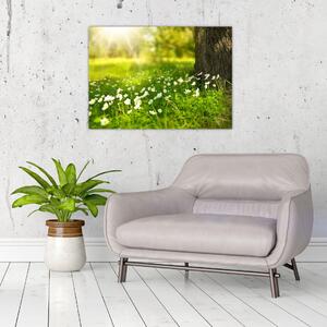 Obraz paseky a květin (70x50 cm)