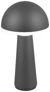 VENKOVNÍ LED SVÍTIDLO, 16/31 cm - Stolní lampy