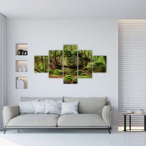 Obraz kouzelného lesa (125x70 cm)