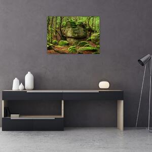 Obraz kouzelného lesa (70x50 cm)