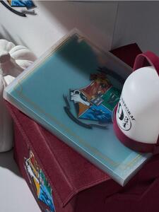 Sinsay - Organizér na dokumenty s přepážkami Harry Potter - vícebarevná