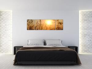 Obraz východu slunce (170x50 cm)