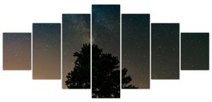 Obraz noční oblohy se stromy (210x100 cm)