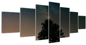 Obraz noční oblohy se stromy (210x100 cm)
