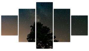 Obraz noční oblohy se stromy (125x70 cm)