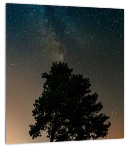 Obraz noční oblohy se stromy (30x30 cm)