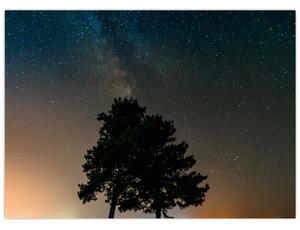Obraz noční oblohy se stromy (70x50 cm)