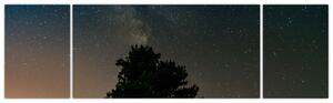 Obraz noční oblohy se stromy (170x50 cm)