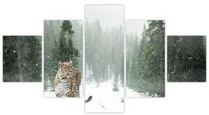 Obraz leoparda ve sněhu (125x70 cm)